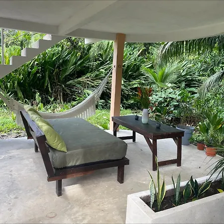 Casa Jaguar Tortuguero Villa Exterior photo