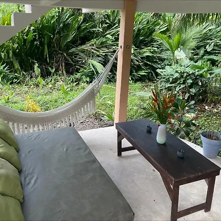 Casa Jaguar Tortuguero Villa Exterior photo