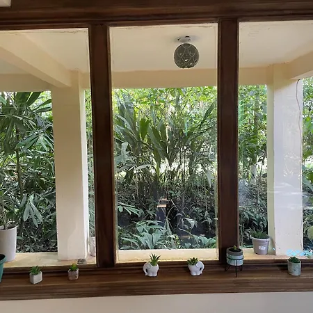 Casa Jaguar Tortuguero Villa Exterior photo