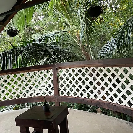 Casa Jaguar Tortuguero Villa Exterior photo