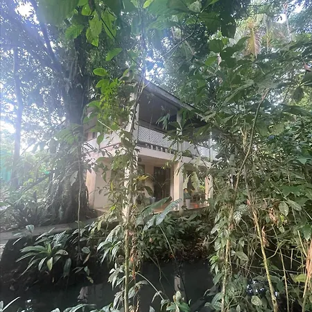 Casa Jaguar Tortuguero Villa Exterior photo