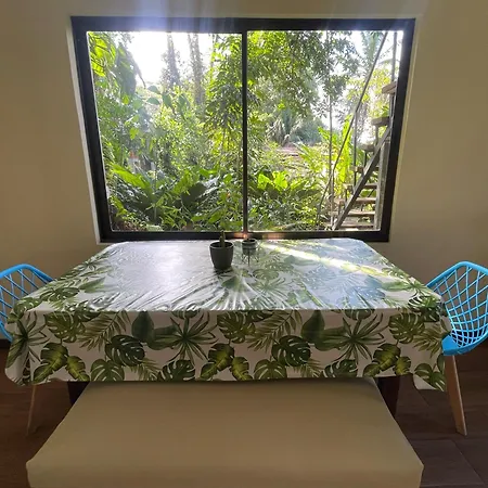 Casa Jaguar Tortuguero Villa Exterior photo