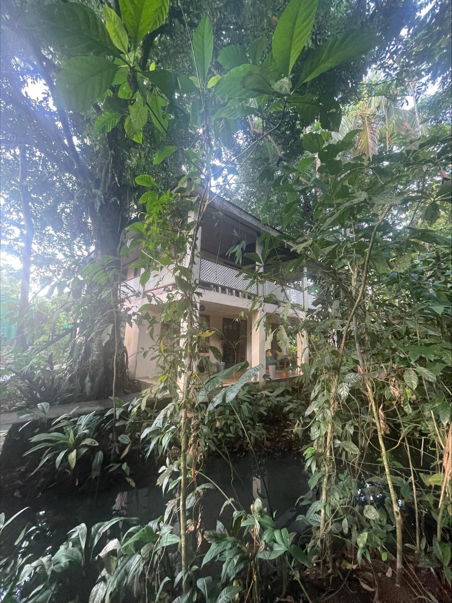 Holiday home Casa Jaguar *
