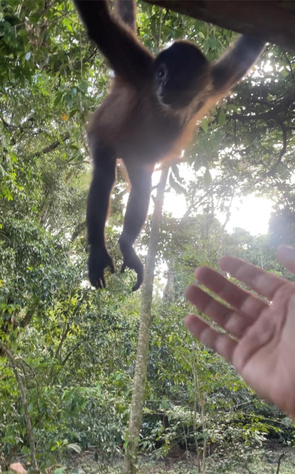 Сasa de vacaciones Casa Jaguar Tortuguero