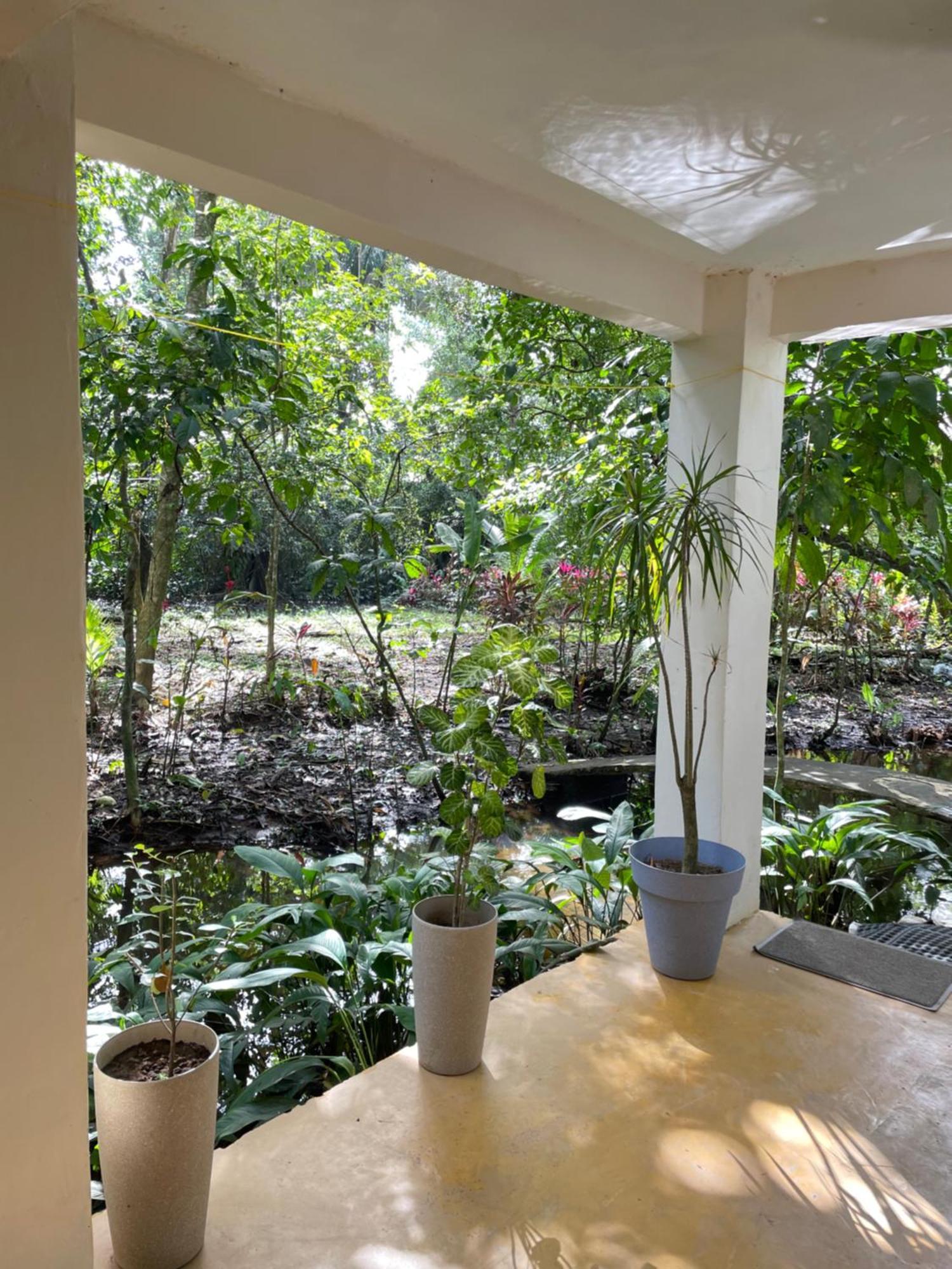 Casa Jaguar Holiday home